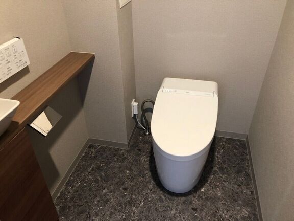 Toilet