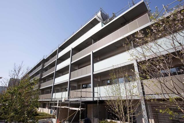 Abity Grande Kinuta（＃B） 