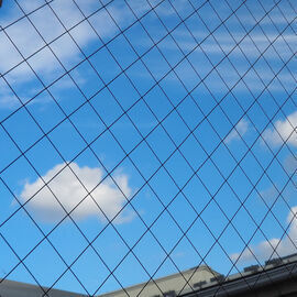 Main image of What is Wired Grass Used For? Purpose, Applications, and Regulations