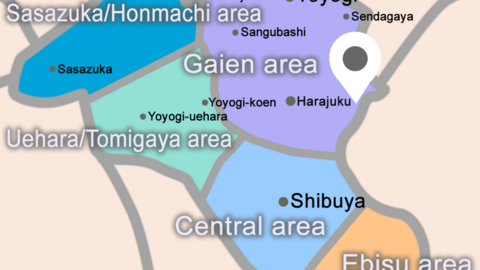 Marie International School