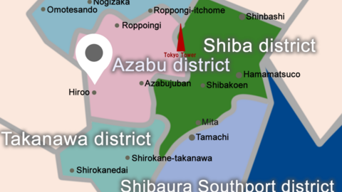 Ivy Prep International School