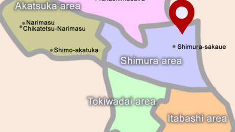 Happy Koala International School