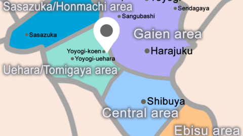 Olivetree International School