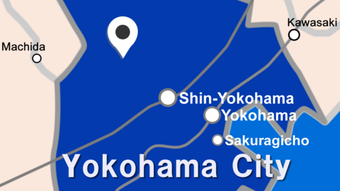 Little Treehouse International School