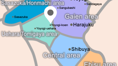 Princeton Academy International School