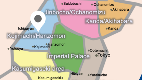 Phoenix House International School