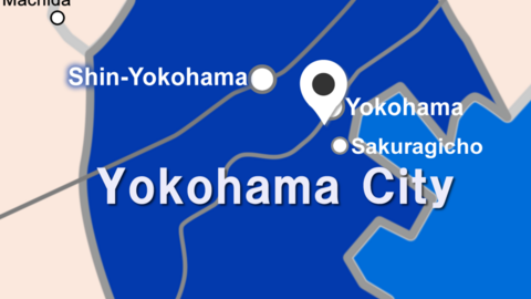 YES International School