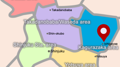 Tesoro International School