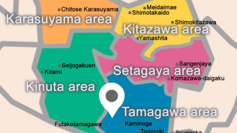 St. Mary's International School