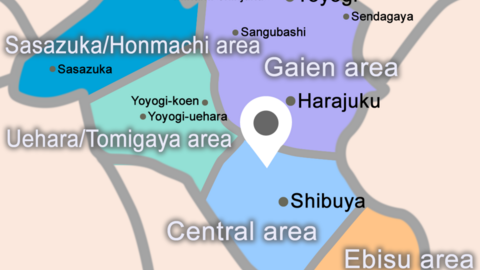 The Innovation Fellowship (TIF) International High School