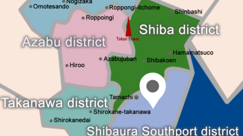 Pikkas international school