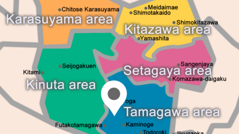 Seta International School