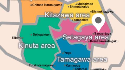 Pips International School Mishuku