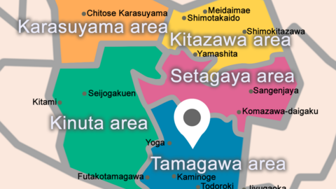 Global Step Academy International School