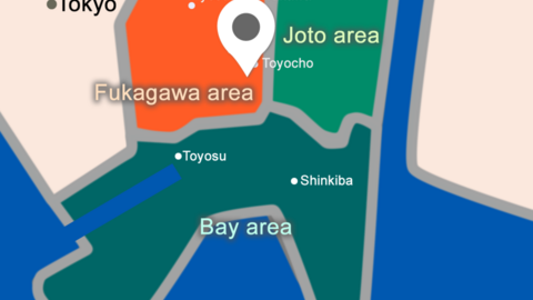 Tokyo YMCA International School (TYIS )