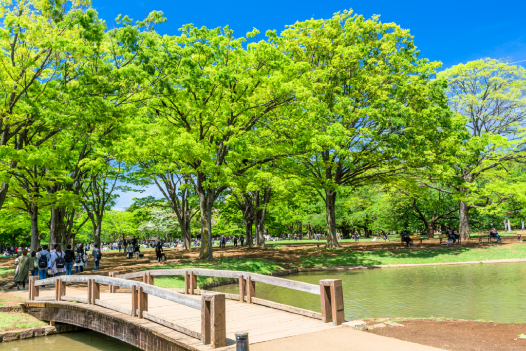 Yoyogi-Koen