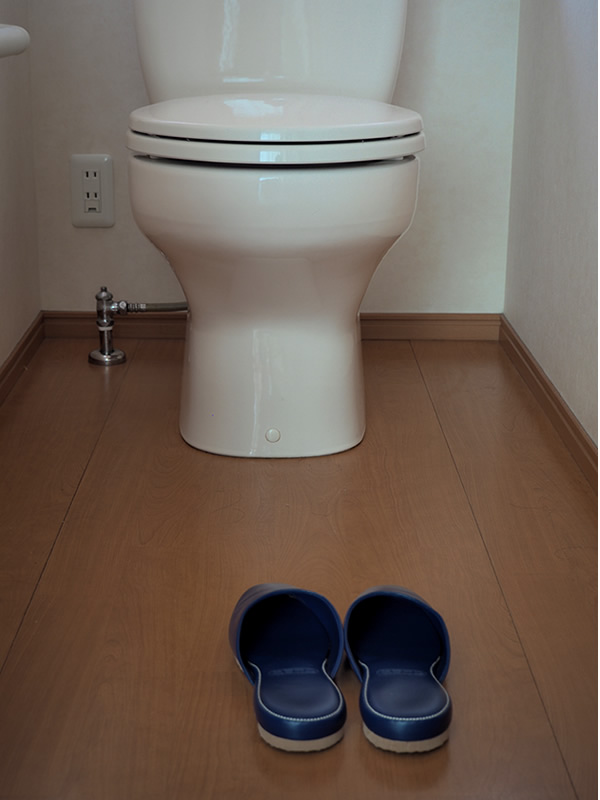 Toilet (room) slippers