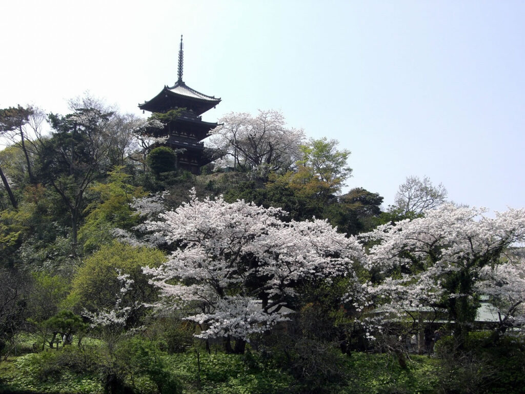 Sankeien Garden in Yokohama