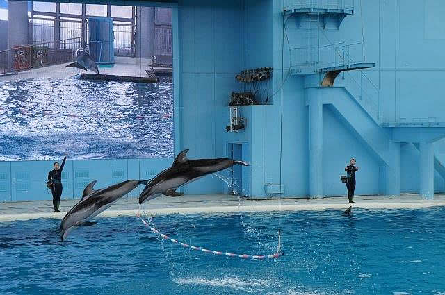 八景島シーパラダイス